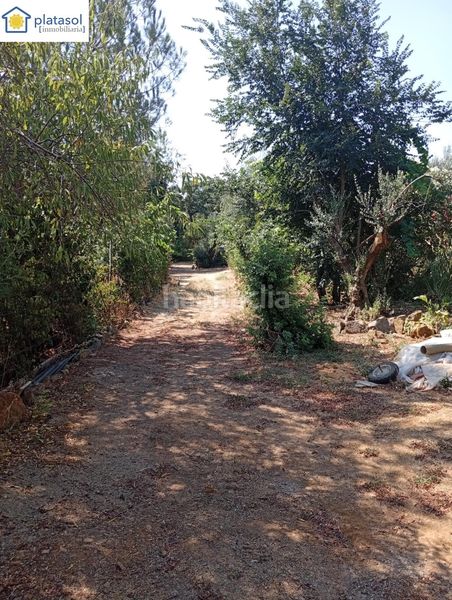 Foto 5608e6b3-0557-4d17-a393-9972391e975b. Masía finca rústica de recreo en Higuera de la Sierra