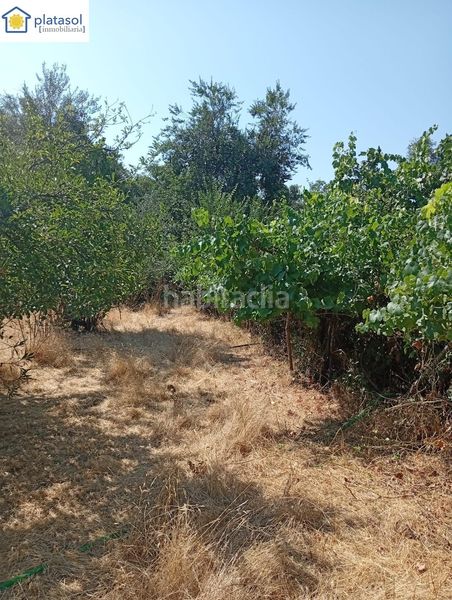 Foto bd765aed-f9db-4e8b-b9ab-abcfe0ae28ec. Masía finca rústica de recreo en Higuera de la Sierra