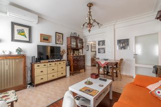 Flat  Calle linneo