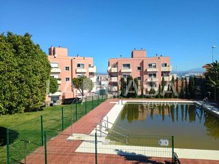 Pis a San García