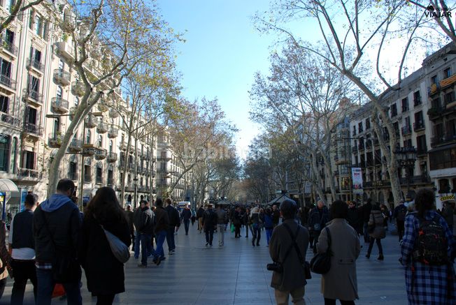 Foto c4832365-86b3-4e1a-a244-7be045131c3f. Pis a Raval Barcelona