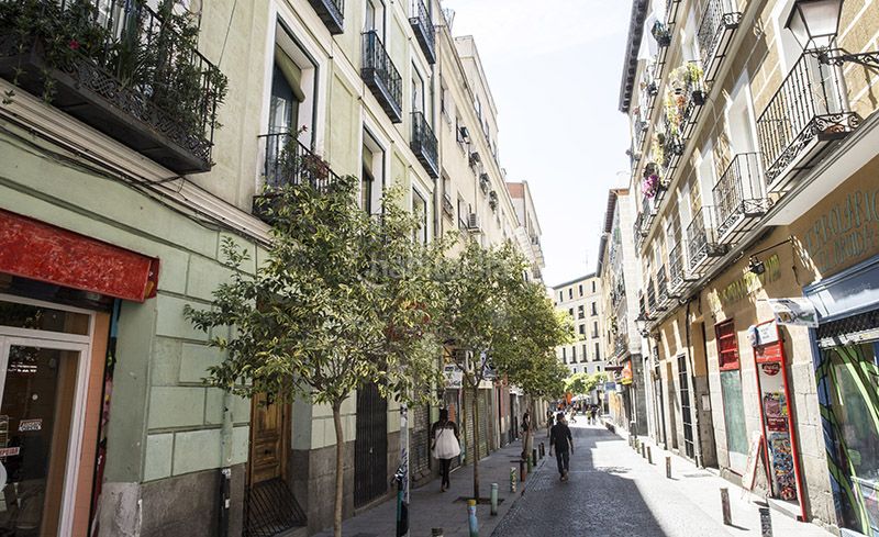 Foto a6ae2173-889c-4691-a45b-d5898d2462e5. Pis a Embajadores-Lavapiés Madrid