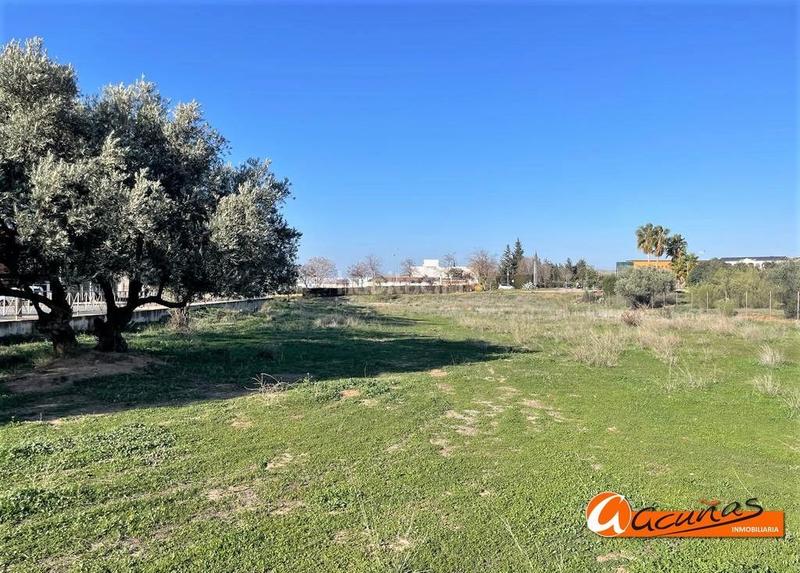 Foto 0ef33ae7-1486-4565-9de2-a66594f86ad9. Terreny residencial a poeta muñoz rojas 1 a Zona de la Vega Antequera