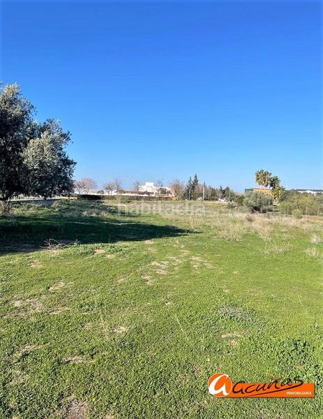 Foto 34194826-23e9-4ead-bea2-fcd8ef80450d. Terreny residencial a poeta muñoz rojas 1 a Zona de la Vega Antequera