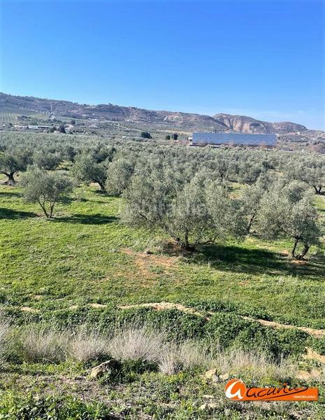 Foto 128fa56c-4112-4ade-bb1d-a450b679153b. Terreny residencial a doctor diego aragón a Fuentemora Antequera