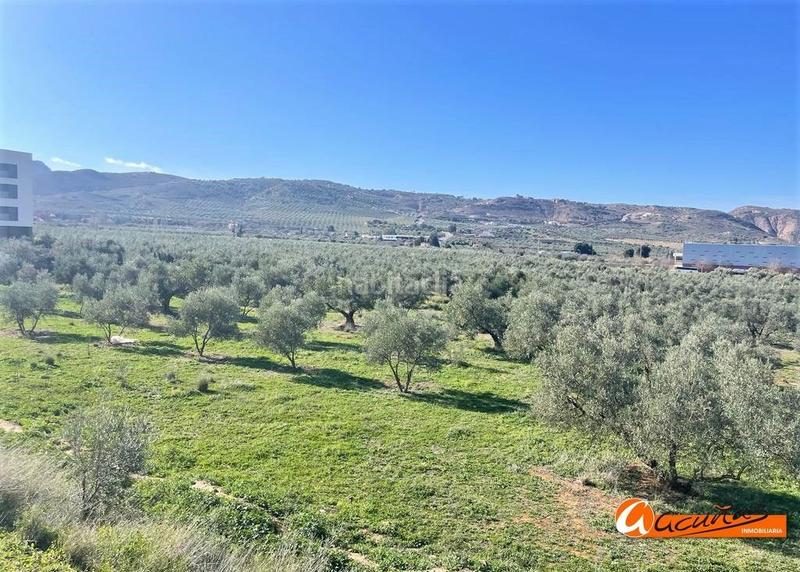 Foto 54ba00d7-c6d3-4822-af77-70c6262d8bea. Terreny residencial a doctor diego aragón a Fuentemora Antequera