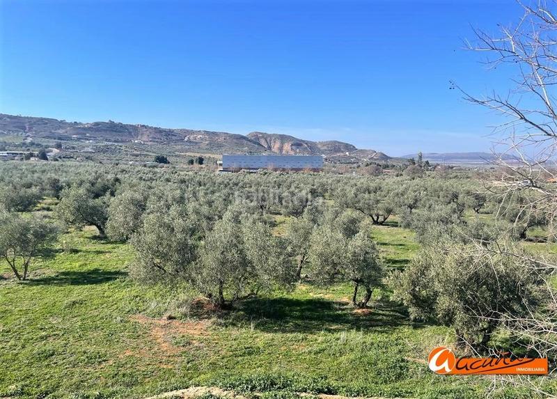 Foto 77c0de9e-cfce-49a7-983b-a1bacfb0fef0. Terreny residencial a doctor diego aragón a Fuentemora Antequera