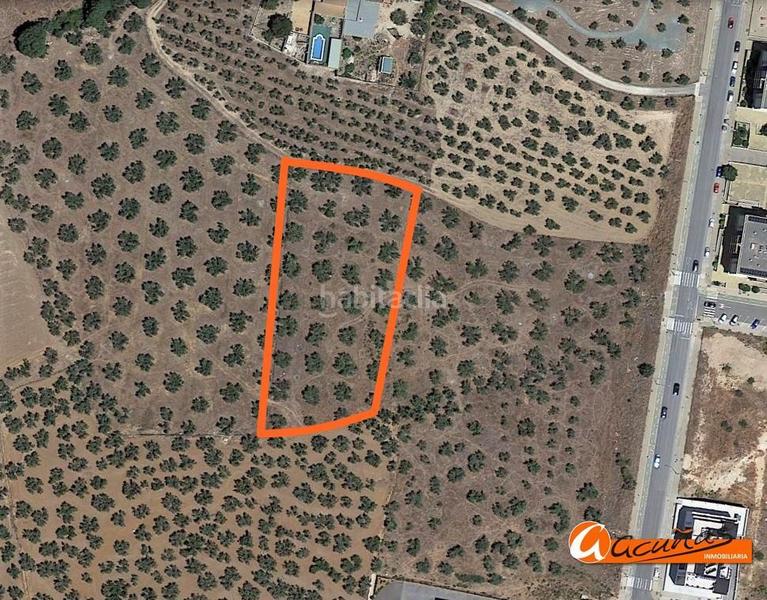 Foto e6989604-e9d6-472e-95e7-a51968f3eed6. Terreny residencial a doctor diego aragón a Fuentemora Antequera