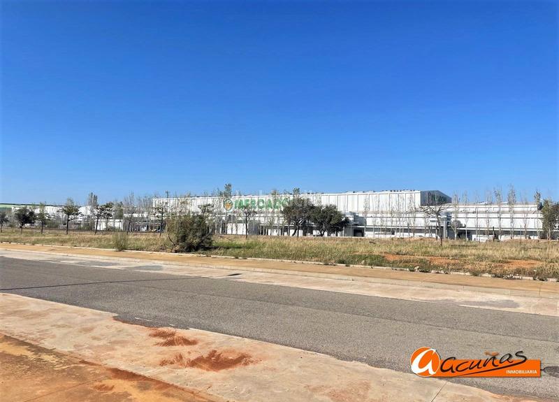 Foto c4c2f800-b928-4106-8730-9456c02941bb. Terreno residenziale in Zona de la Vega Antequera