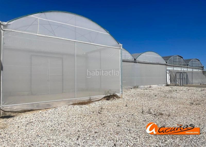 Foto 22a1ed2e-fcd3-42d5-a476-5e9efec1e514. Rural plot in Zona de la Vega Antequera