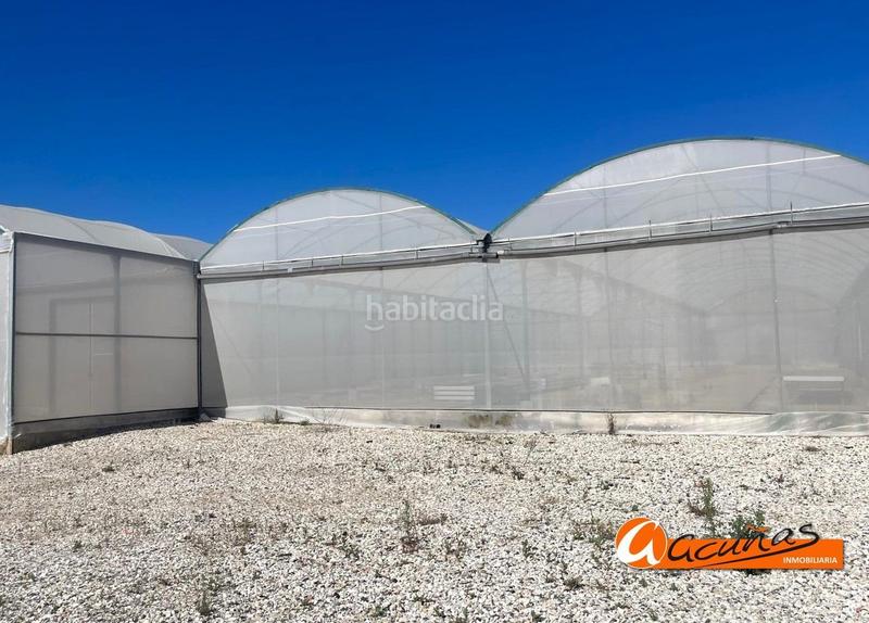 Foto 81e05bc3-67a5-43ae-abea-40cc31c20b71. Rural plot in Zona de la Vega Antequera