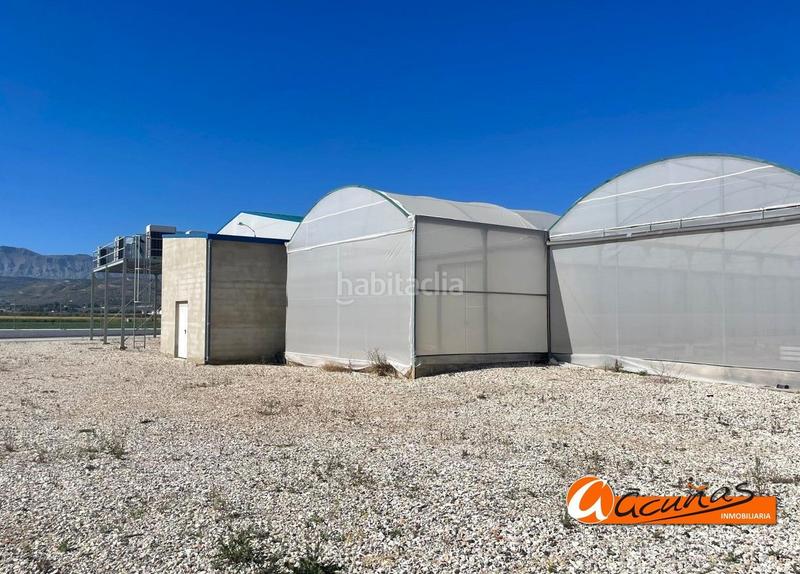 Foto b8e47bcb-40eb-4a5a-a4de-09db2d8ebe56. Rural plot in Zona de la Vega Antequera