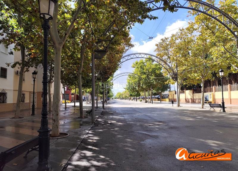 Foto de0050ad-5a56-4129-a7d8-e6b86f77dae7. Appartamento in Campillos