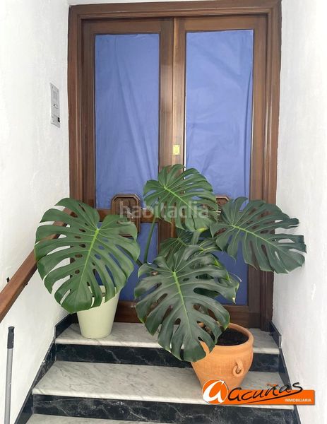 Foto 3a8deec9-a7be-47ed-a68f-b36dddba2330. Local comercial a Montejaque