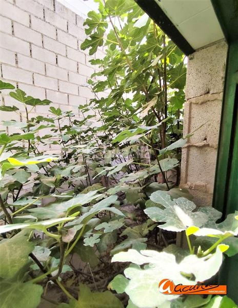 Foto 4a68fb61-0918-4ffd-9f5b-c130c53e6ee4. Aparcament cotxe a Alameda