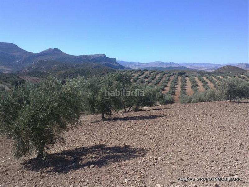 Foto 1e1176f9-f915-4202-a745-3d566ef622f0. Finca rústica a Bobadilla - Bobadilla Estación - La Joya Antequera