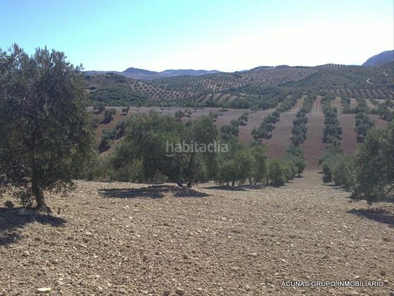 Foto 5a6168cf-af71-4907-8f39-2044a1942eb5. Finca rústica a Bobadilla - Bobadilla Estación - La Joya Antequera