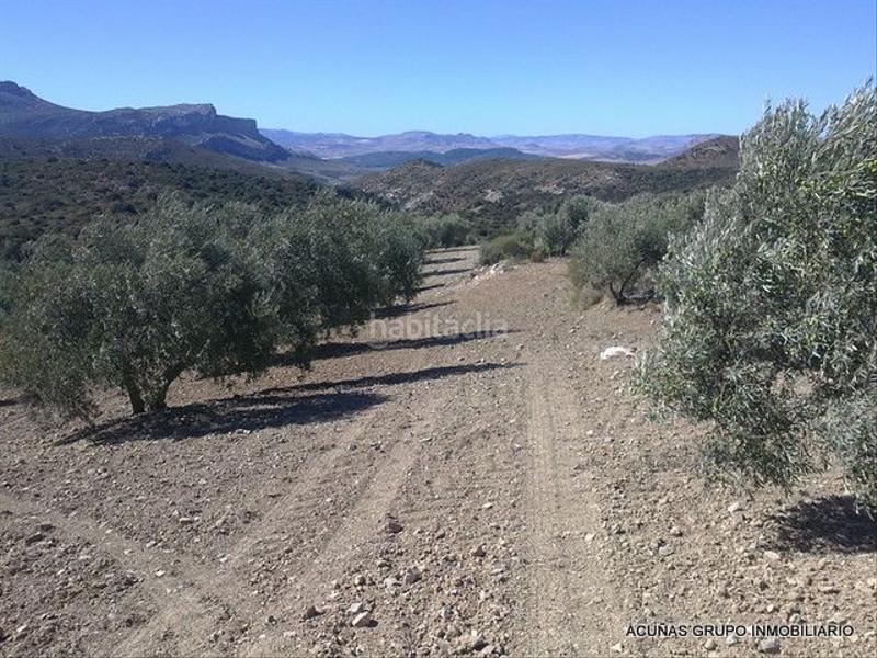 Foto 63c7e65d-22e1-49ef-9060-a75cf36da497. Finca rústica a Bobadilla - Bobadilla Estación - La Joya Antequera