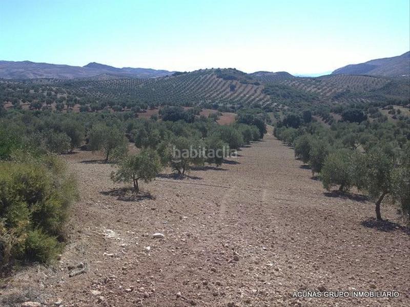Foto 84f36e93-94ae-43ae-a484-203a01045eee. Finca rústica a Bobadilla - Bobadilla Estación - La Joya Antequera