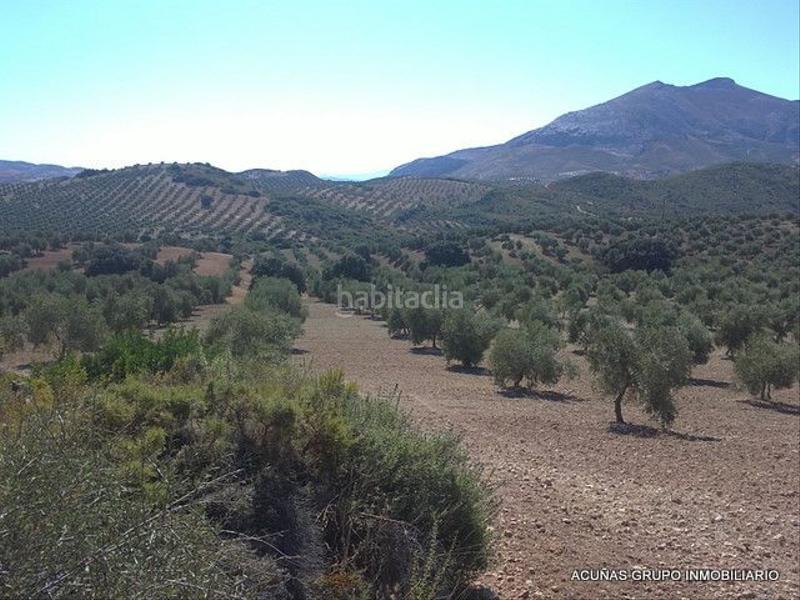 Foto bb1f0e6e-84b6-4902-ba3d-25592787614b. Finca rústica a Bobadilla - Bobadilla Estación - La Joya Antequera