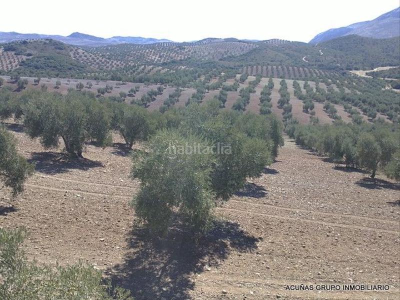 Foto cae1cdf3-7f1d-47d8-b5c2-04779f8e2533. Finca rústica a Bobadilla - Bobadilla Estación - La Joya Antequera