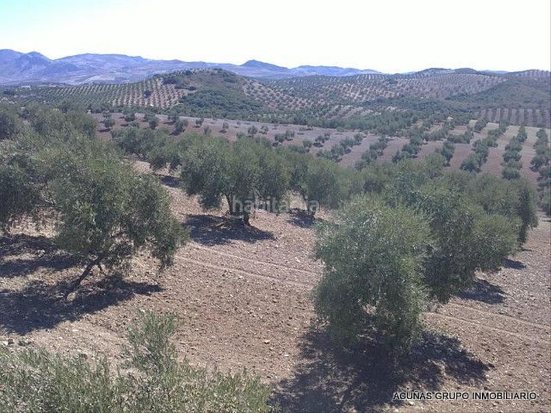 Foto d7927936-19a6-4636-bae1-ef1c34a5780c. Finca rústica a Bobadilla - Bobadilla Estación - La Joya Antequera