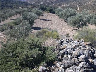 Finca rústica a Bobadilla - Bobadilla Estación - La Joya. Fantástica finca rústica de olivos hojiblancos en antequera