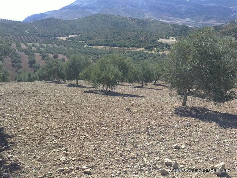 Foto f9975f95-9295-4438-b0c9-2ca4cf800276. Finca rústica a Bobadilla - Bobadilla Estación - La Joya Antequera