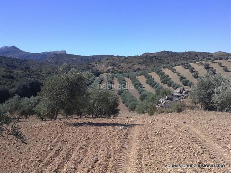 Foto fb729f69-33bc-4906-938e-90a7010d5676. Finca rústica a Bobadilla - Bobadilla Estación - La Joya Antequera