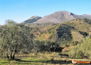 Finca rústica a Archidona. Suerte de tierra olivar y monte de 109.958 m2