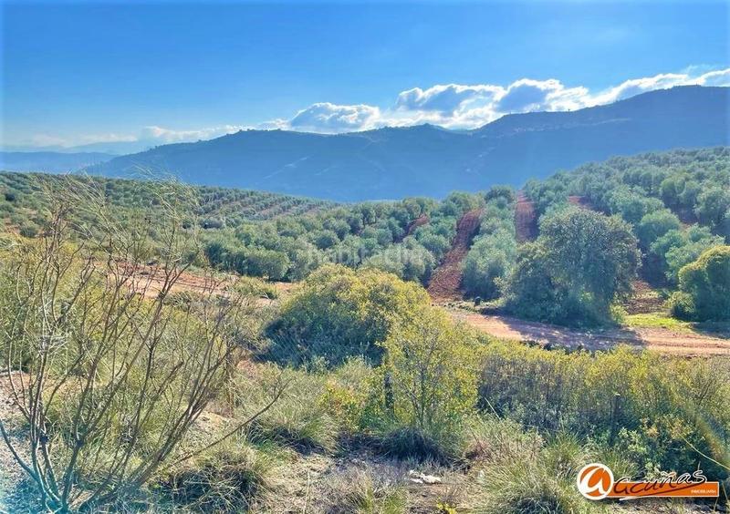 Foto 24db8732-6f0d-48c2-9a68-e9d05df5fe7b. Residential plot in Bobadilla - Bobadilla Estación - La Joya Antequera