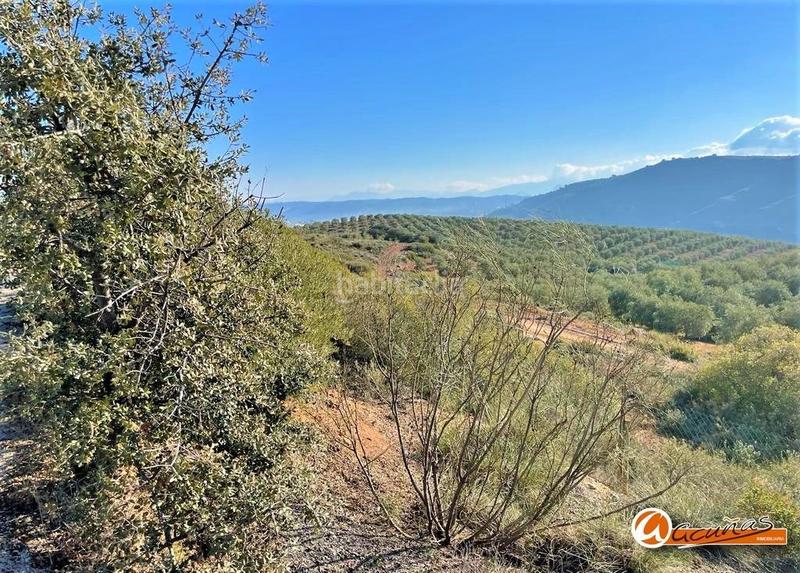 Foto 92f219e0-880c-4dcf-bb4d-1a52de3450ac. Residential plot in Bobadilla - Bobadilla Estación - La Joya Antequera