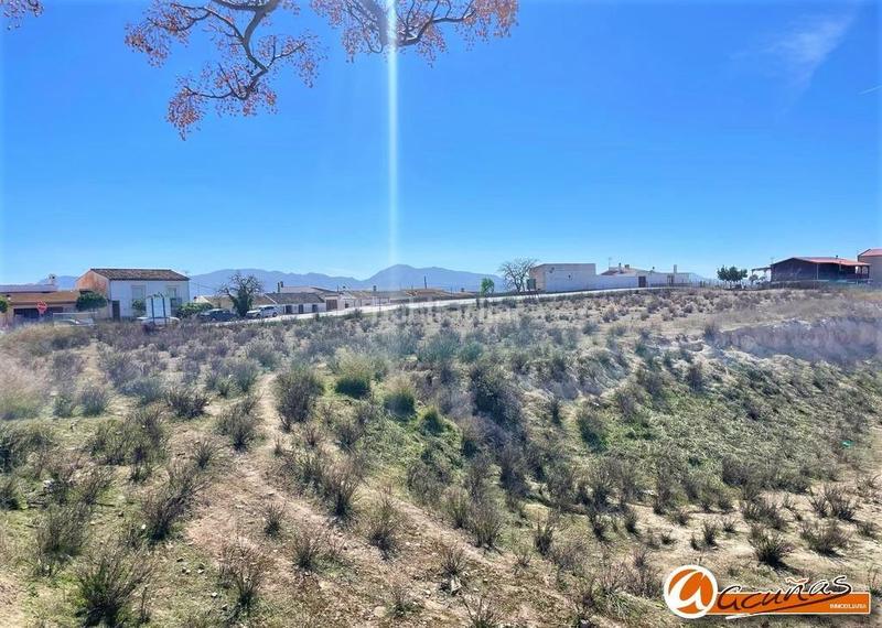 Foto 0056242e-a05f-4e8f-9083-9ff39a176ec2. Terrain résidentiel dans andalucía 42 dans Zona de la Vega Antequera