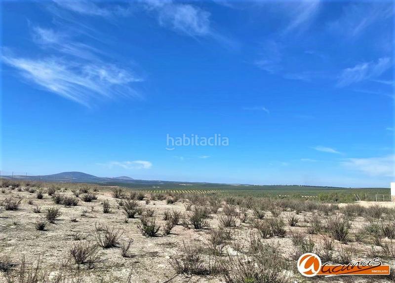 Foto 618455b0-3787-4d89-a6f7-4f41d85b9bbe. Terrain résidentiel dans andalucía 42 dans Zona de la Vega Antequera