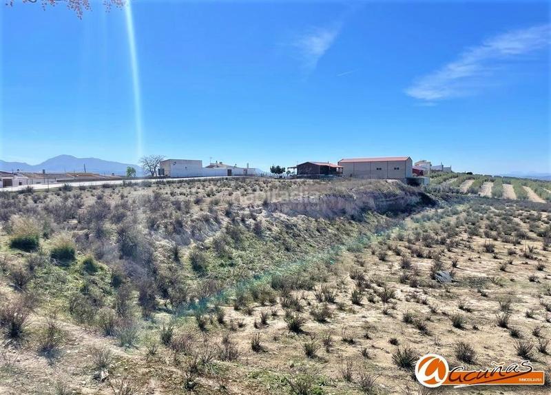 Foto ae33dafa-2a1e-4e9a-a731-9eb8725a991b. Terrain résidentiel dans andalucía 42 dans Zona de la Vega Antequera
