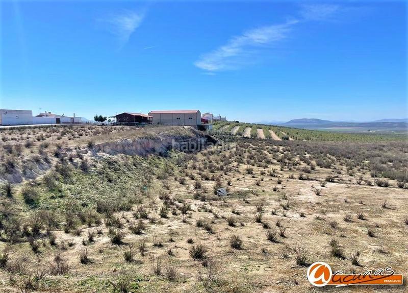 Foto af2feb0c-b8d4-4566-a0cd-f29af34f8c5b. Terrain résidentiel dans andalucía 42 dans Zona de la Vega Antequera