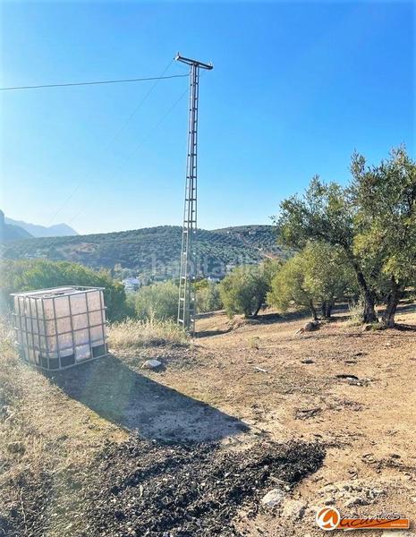Foto 657566da-1d68-49e1-b57d-69abb9bbbdc7. Rural plot in las carboneras altas in Villanueva del Rosario