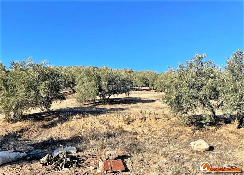 Foto 7ea0a7fa-81dd-4caf-8c4d-b21c67948b50. Rural plot in las carboneras altas in Villanueva del Rosario