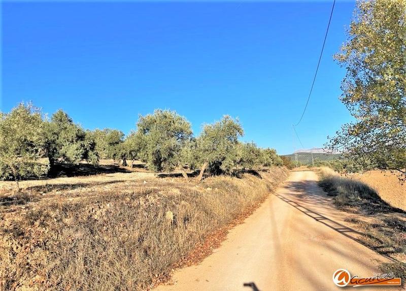 Foto 84d8a243-ed77-493a-abb3-72e235e1c0c9. Rural plot in las carboneras altas in Villanueva del Rosario