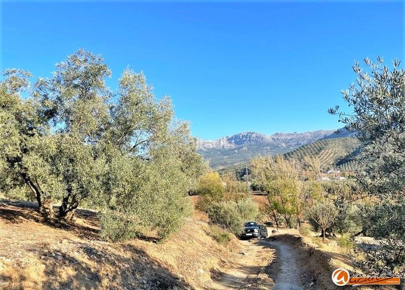 Foto c5668df3-2f76-43c1-ba58-128610340bb3. Rural plot in las carboneras altas in Villanueva del Rosario