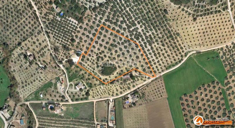 Foto dbccde3c-8606-4d75-9dd7-6b1cf0cc7376. Rural plot in las carboneras altas in Villanueva del Rosario