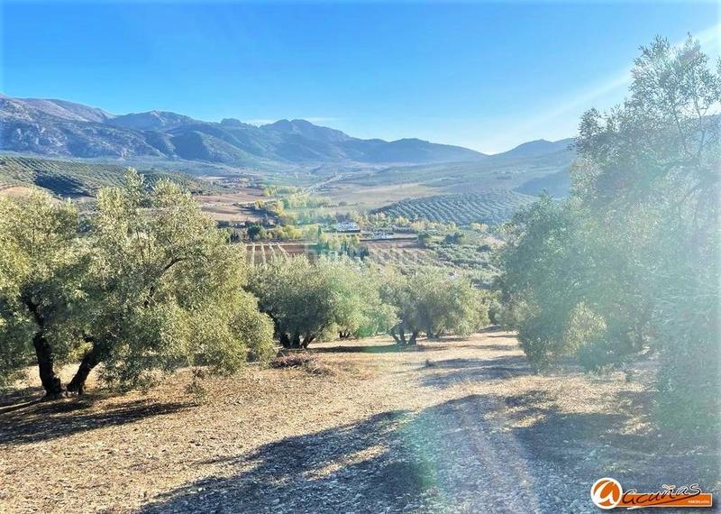 Foto f30f2fb2-da81-4294-a9f9-e165e64b580a. Rural plot in las carboneras altas in Villanueva del Rosario