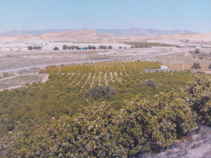 Foto acb9dab9-20f2-43fc-9e06-bdbc07ce6e14. Propriété dans Antas