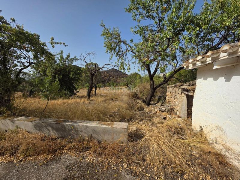 Foto 52a121b0-7a8b-4c20-aaed-49876dd59c01. Casale in Bédar