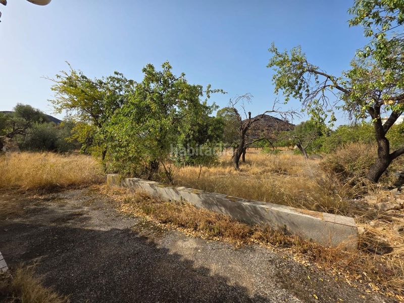 Foto f53bbd21-fdbe-4486-9a24-12078c30f488. Casale in Bédar