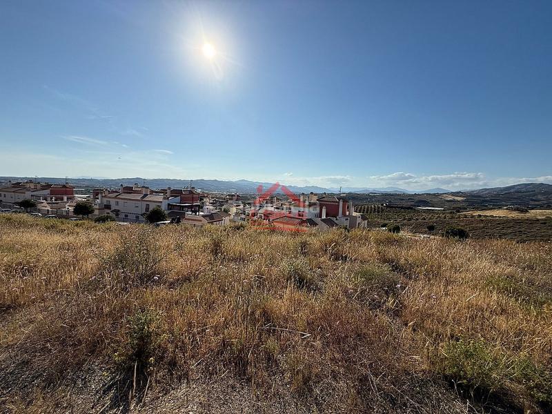 Foto 3c20ed39-43d5-473b-982e-3e638b244a6a. Terreno residencial 2 últimas parcelas en venta. en Vélez - Málaga