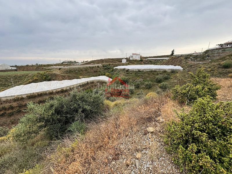 Foto c610a60e-b0d1-439d-9bf1-f3ec1f6c4f9f. Masia amb calefacció aparcament a Algarrobo pueblo Algarrobo