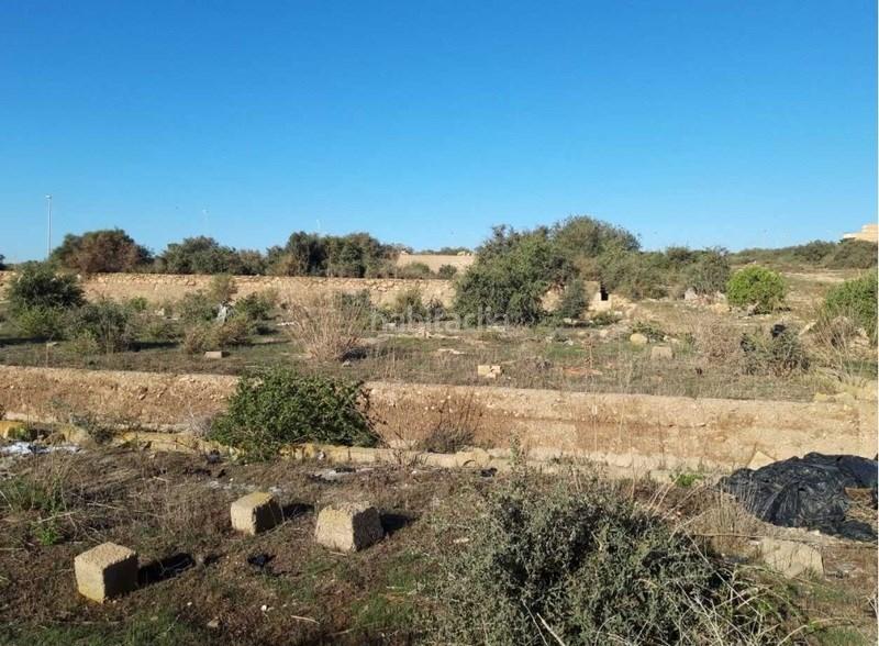 Foto 2ad76ff6-a058-4d4f-a626-f9a9c4c25c00. Terreno residencial en Pabellón - Estación - El Corte Inglés Ejido (El)