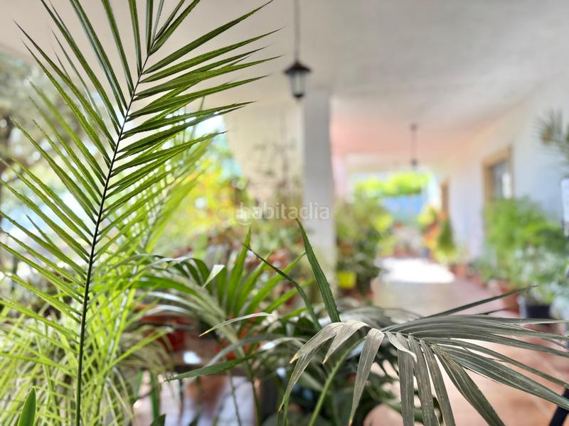 Foto f4f8772a-c940-4441-a098-015a8885aeb9. Casa en Berja