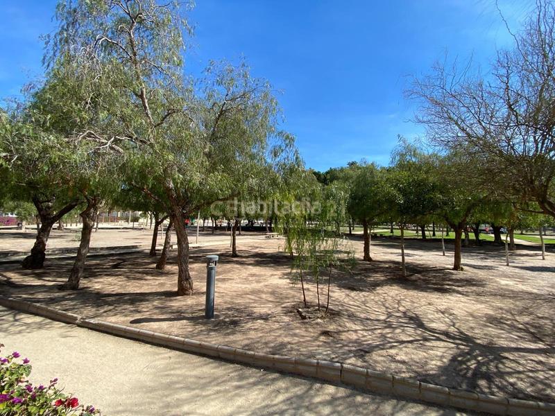 Foto dab505e9-efca-4c59-be0b-3ac330bebb83. Rent business premise in paseo de las lomas 150 in Ejido (El)